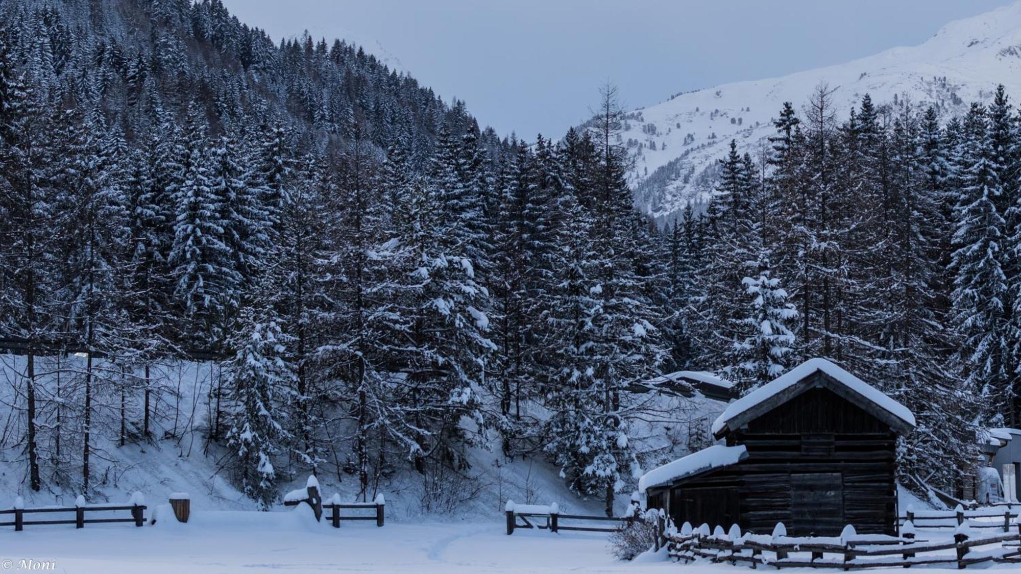 Apartament Haus Timmler St. Anton am Arlberg Zewnętrze zdjęcie